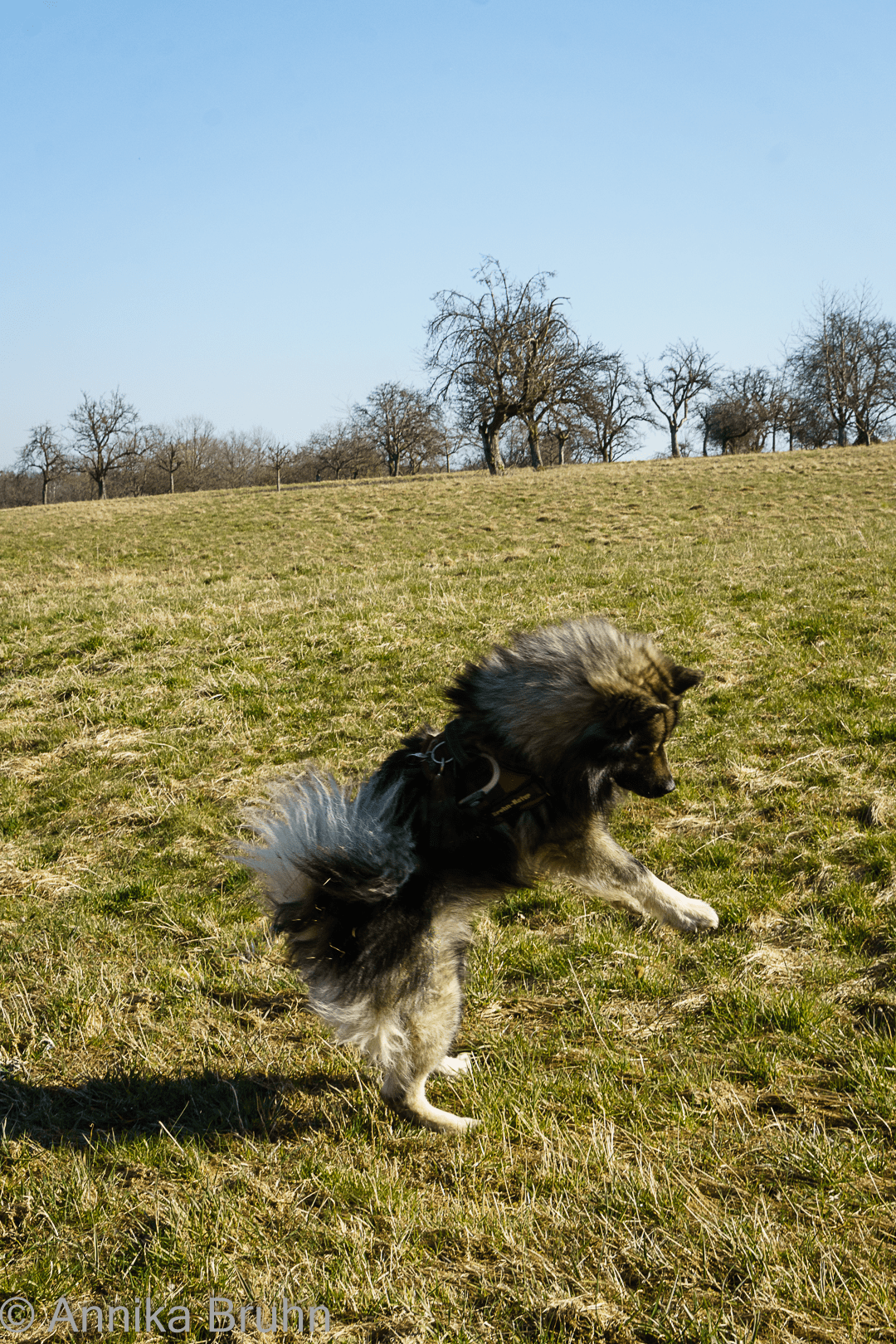 Q in seiner Spielzeit!